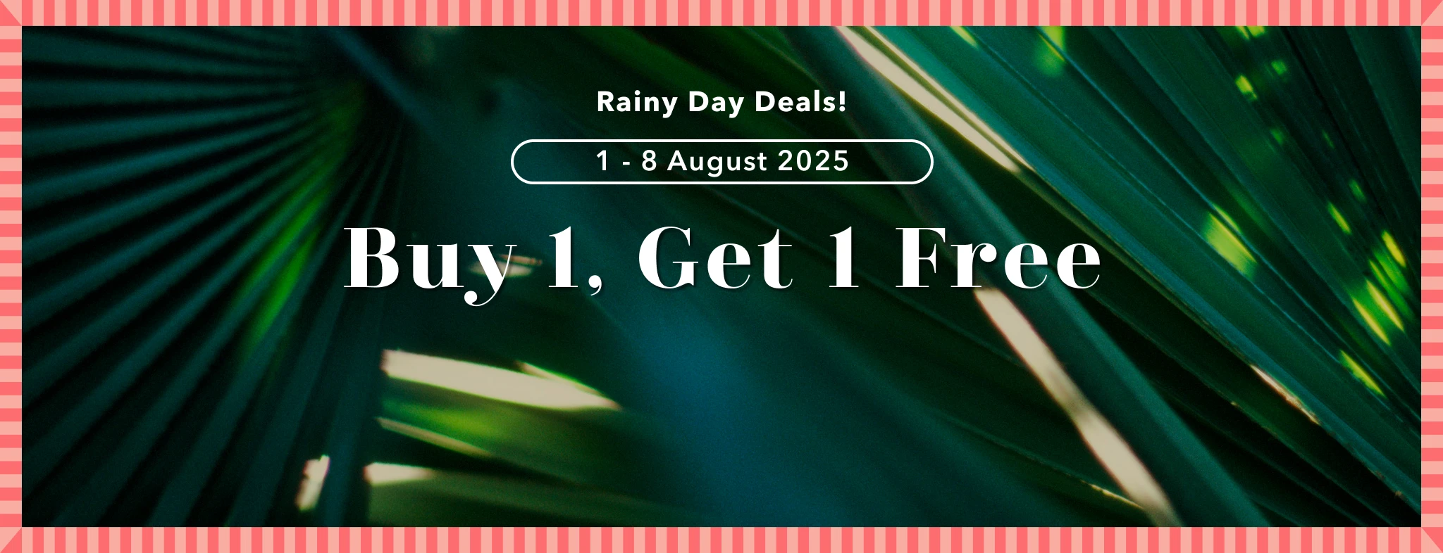 Buy 1, Get 1 Free PC